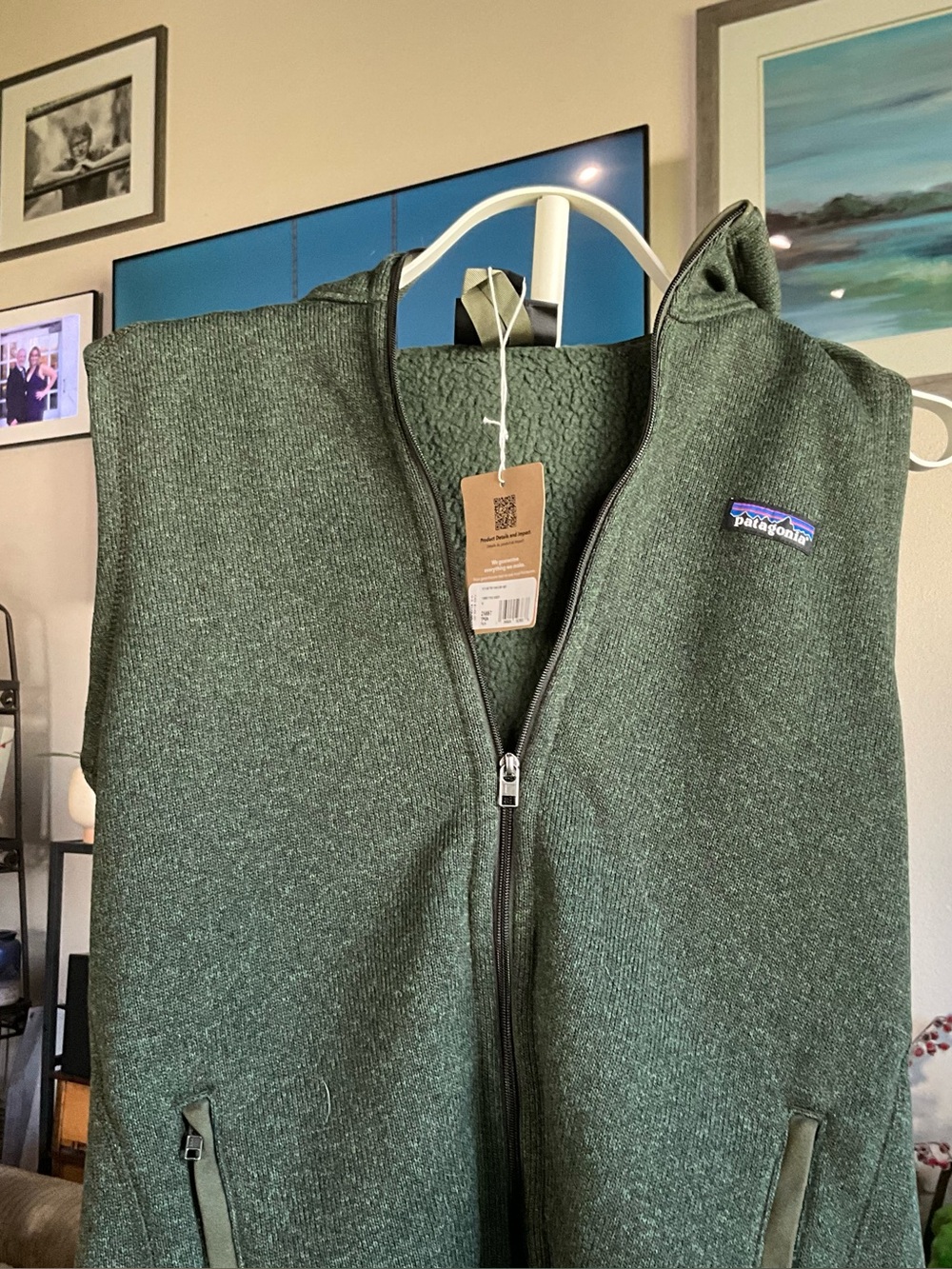 Patagonia Torrey Pine Green Sweater Vest